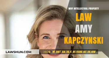 Intellectual Property Law: Amy Kapczynski's Impact and Insights Explained
