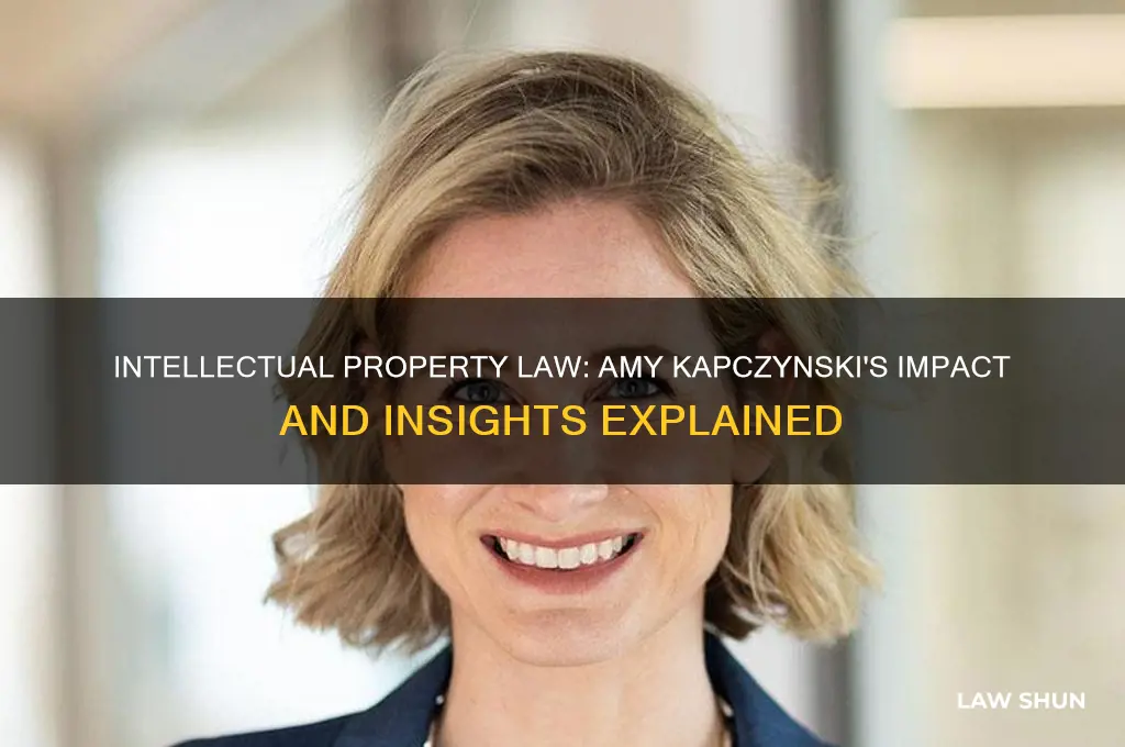 why intellectual property law amy kapczynski