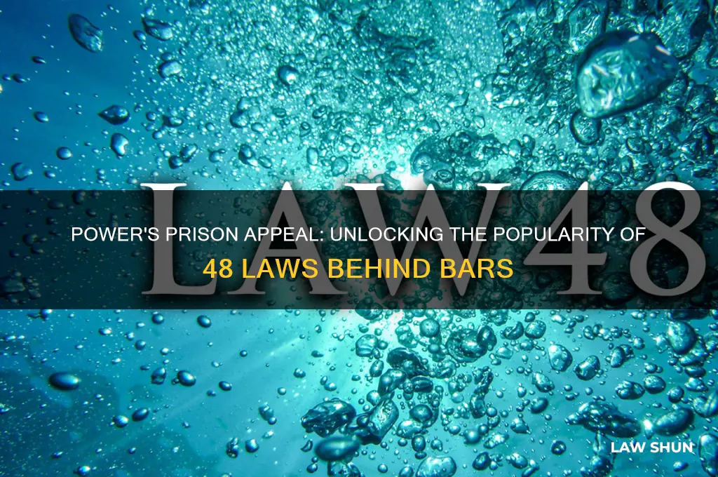 why is 48 laws of power so popular in prisons