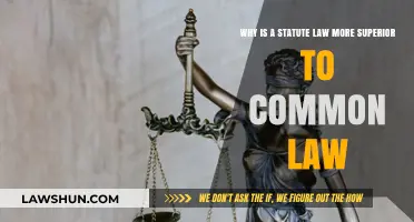 Statute Law: Why It Reigns Supreme