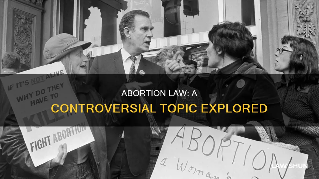 why is abortion a controversial law