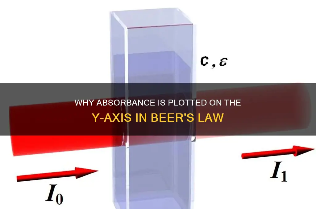 why is absorbance on the y-axis for beer