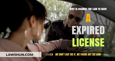 Driving Illegally: Expired Licenses and the Law