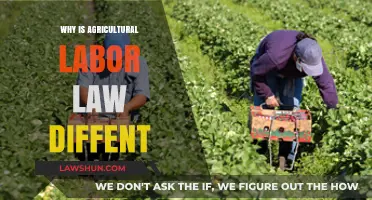 Unique Agricultural Labor Laws: Understanding Their Distinctive Nature and Impact