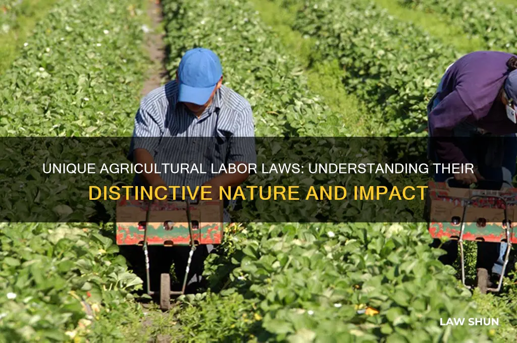 why is agricultural labor law diffent