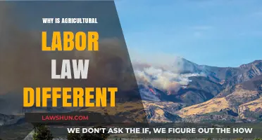 Agricultural Labor Laws: Unique Challenges, Unique Solutions