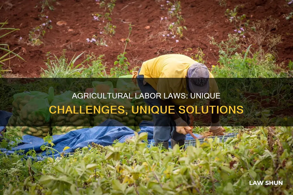 why is agricultural labor law different