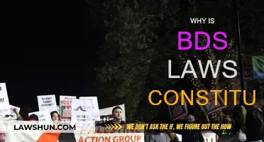 BDS Laws: Constitutional Rights and Freedoms