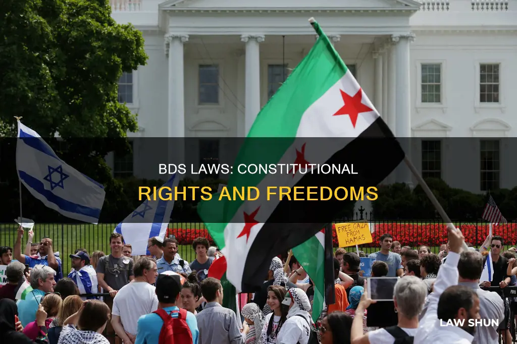 why is bds laws constitutional