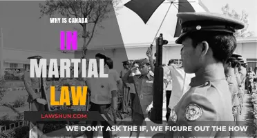 Martial Law: Canada's Uncertain Future