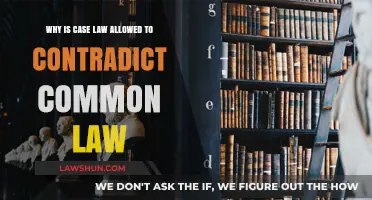 Case Law vs Common Law: Why the Conflict?