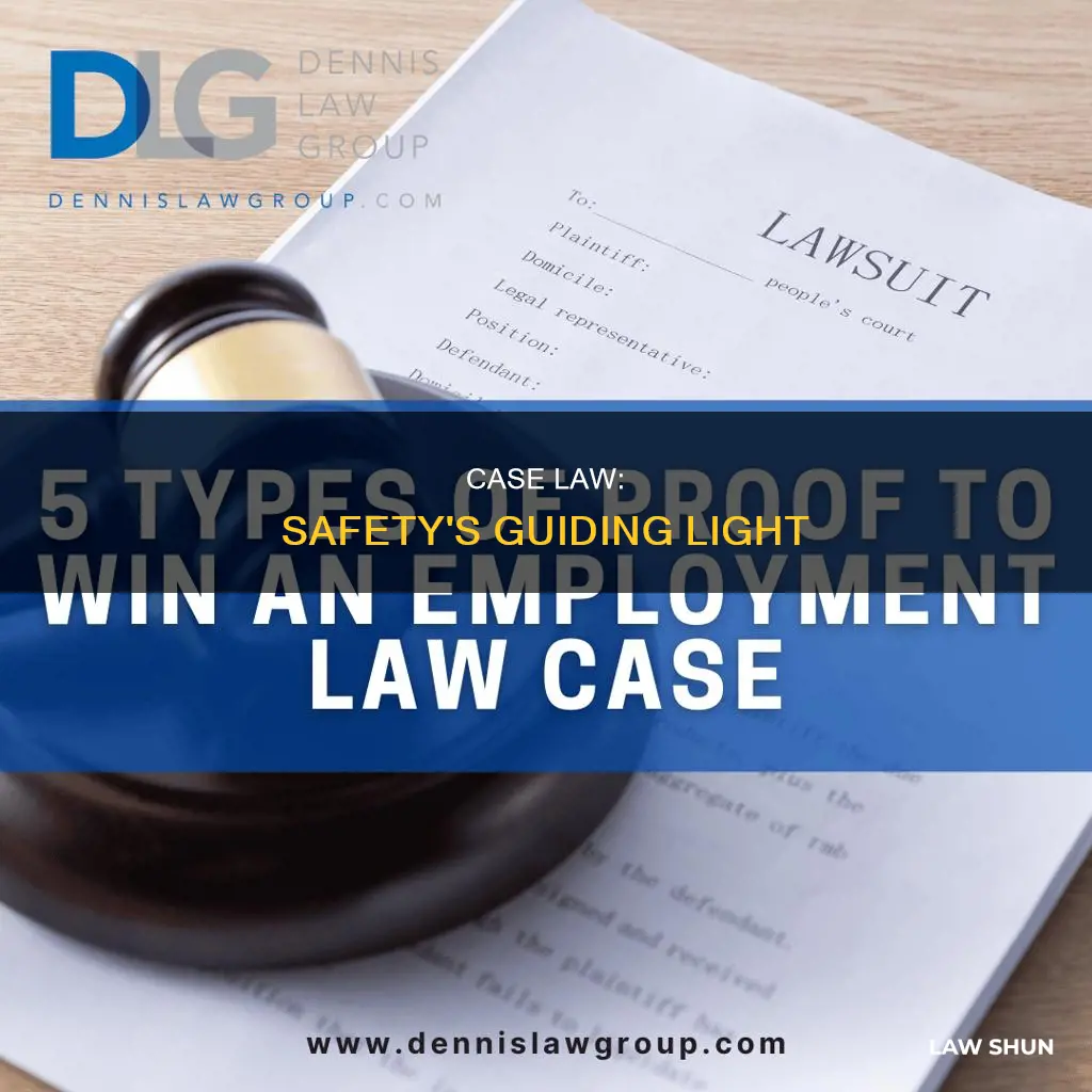 why is case law important in safety