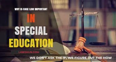 Case Law: Shaping the Landscape of Special Education