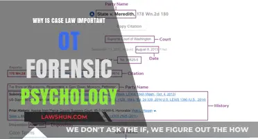 Forensic Psychology: Understanding Case Law's Importance