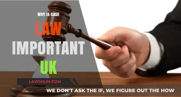 Case Law: Understanding the UK's Dynamic Legal System