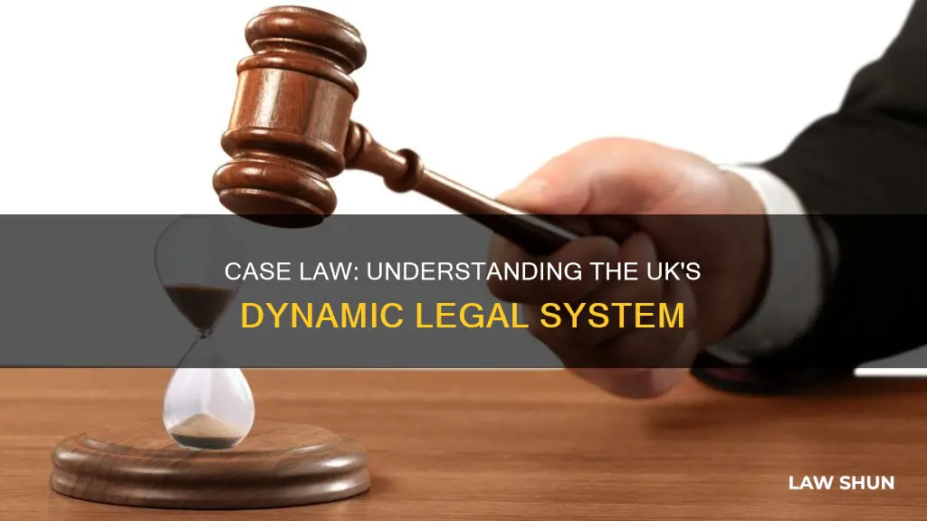 why is case law important uk