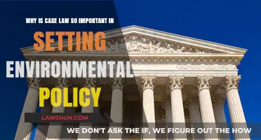 Case Law: Setting the Tone for Environmental Policy