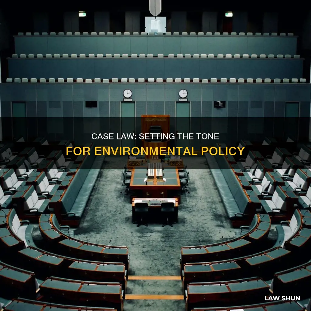why is case law so important in setting environmental policy