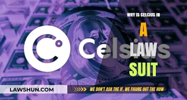 Celsius Lawsuit: Unraveling the Legal Battle Over the Crypto Platform
