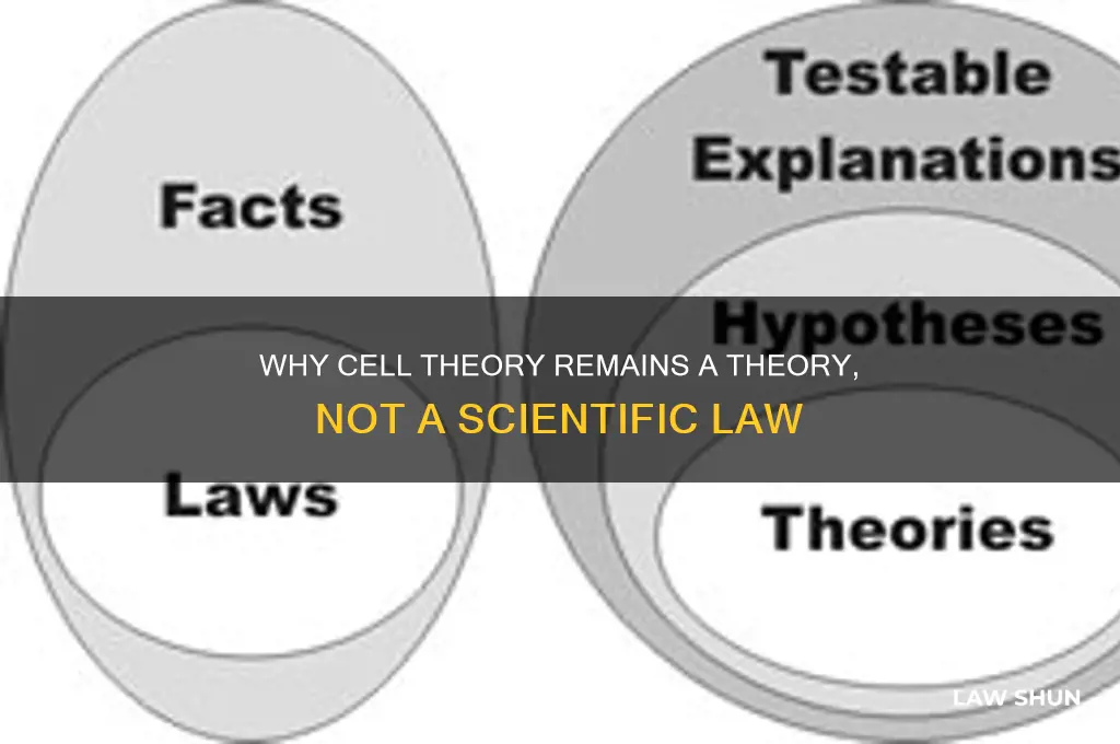 why is cell theory a theory and not a law
