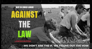 Child Labor Laws: Protecting Innocence, Ensuring Education, and Safeguarding Futures