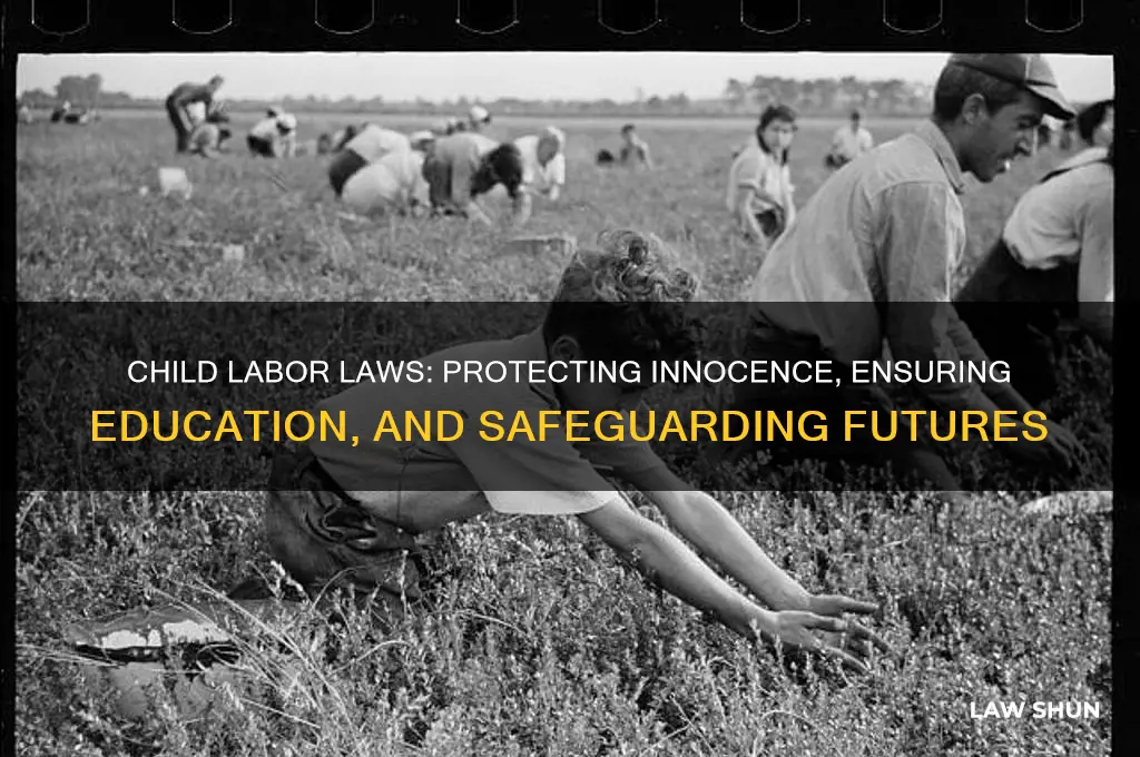 why is child labor against the law
