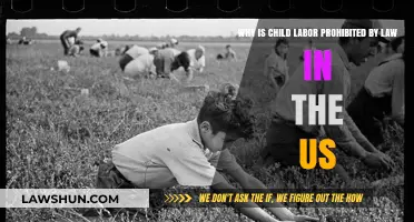 Protecting Childhood: Legal Ban on Child Labor in the US