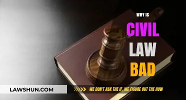 The Downside of Civil Law: Unfairness, Complexity, and Inequality Explored