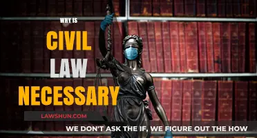 Why Civil Law is Essential for Society's Order and Justice