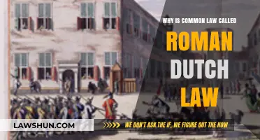 The Evolution of Common Law: Roman Dutch Influence