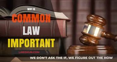Understanding Common Law: Why It Matters