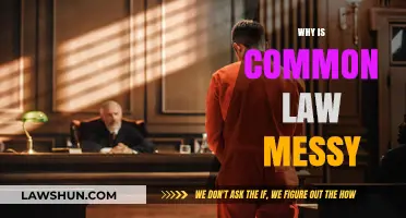 Common Law: A Messy Legal Tangle