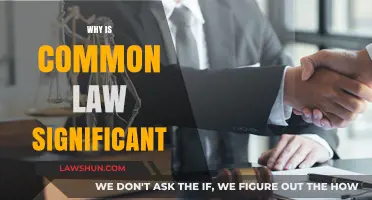Common Law's Significance: A Historical Perspective
