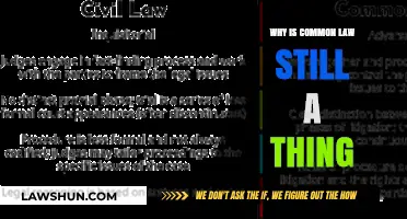 The Evolution of Common Law: Still Relevant Today?