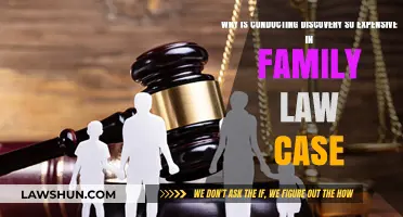 Discovery in Family Law: An Expensive Necessity?