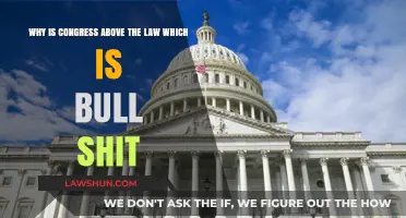 Congress Above the Law: Unfair Privilege or Systemic Failure?