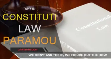 The Paramountcy of Constitutional Law: Our Supreme Framework