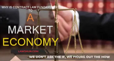 Contract Law: Market Economy's Foundation
