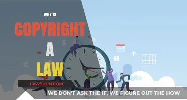 Why Copyright Law Protects Creativity and Encourages Innovation