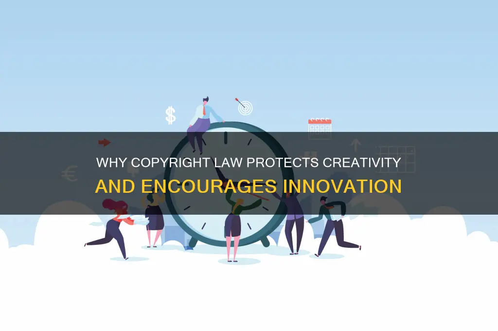 why is copyright a law