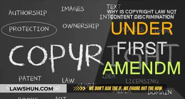 Copyright Law: First Amendment and Content Discrimination