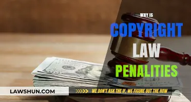 Understanding the Harsh Penalties of Copyright Law Violations