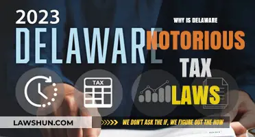 Delaware's Tax Laws: A Haven for the Wealthy