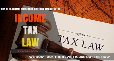Economic Substance Doctrine: Why It Matters in Income Tax Law