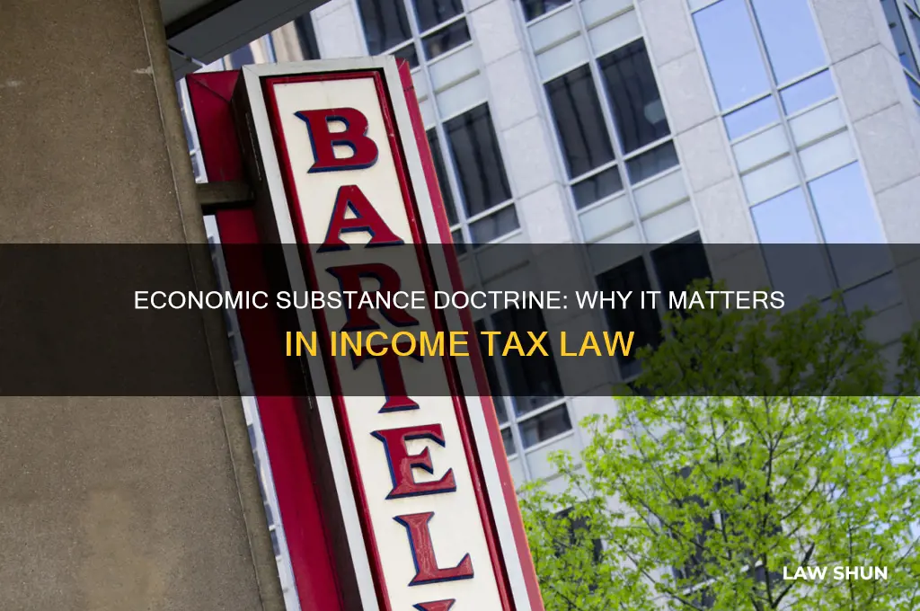 why is economic substance doctrine important in income tax law