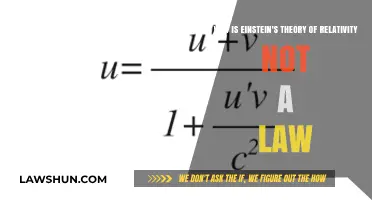 Why Einstein's Relativity Theory Isn't a Scientific Law