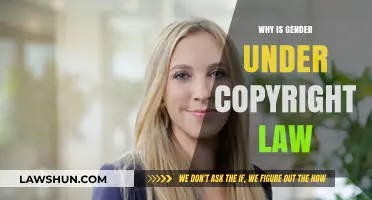 Gender and Copyright Law: Unraveling the Intersection of Identity and Rights
