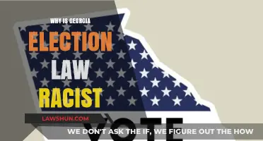 Georgia's Election Law: A Racist Barrier to Voting Rights?