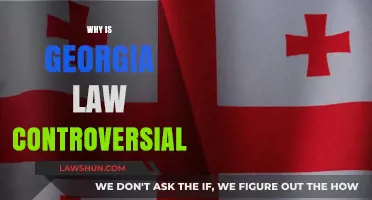 Georgia Law Under Fire: Unpacking the Controversies and Public Outcry
