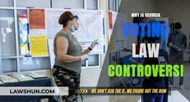 Georgia's New Voting Law: Controversy, Criticism, and Civil Rights Concerns